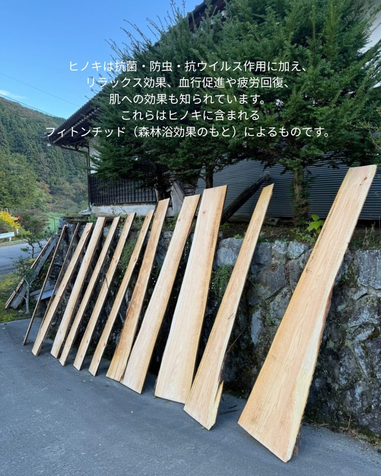 【～7月上旬発送】【国内産】クーファンスタンド